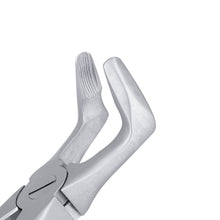 Load image into Gallery viewer, 79 Lower Molars Atraumair Extraction Forceps
