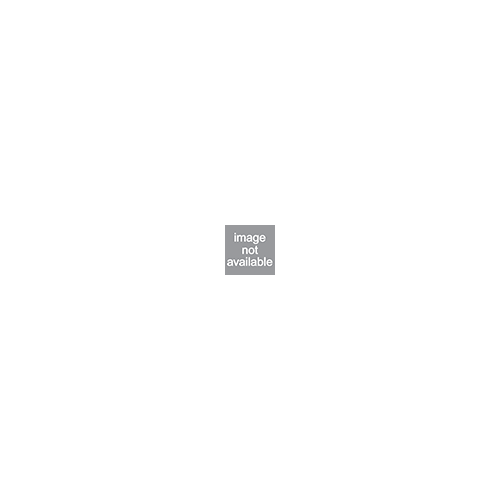 Scan abutment Intraoral Titanium (Internal BT)